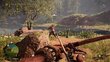 Far Cry Primal PS4 hind ja info | Konsooli- ja arvutimängud | hansapost.ee