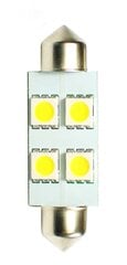 LED pirn M-Tech LB072W C5W 12V, 2 tk price and information | Autopirnid | hansapost.ee