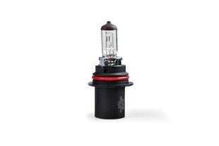 Halogeenpirn M-Tech HB5 12V price and information | Car bulbs | hansapost.ee