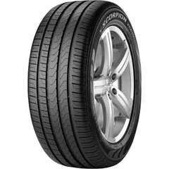 Pirelli Sc verde hind ja info | Talverehvid | hansapost.ee