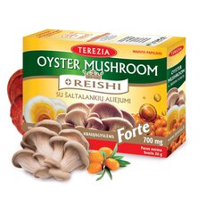 Terezia austri seened ja reishi seened astelpajuõliga, 60 kapslit hind ja info | Toidulisandid tervise edendamiseks | hansapost.ee