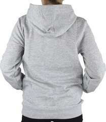 Джемпер для мальчиков Kappa, серый цена и информация | Свитеры, жилетки, пиджаки для мальчиков | hansapost.ee