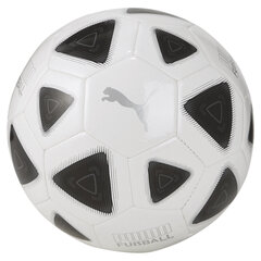 Футбольный мяч Puma Prestige, белый цена и информация | Puma Спорт, досуг, туризм | hansapost.ee