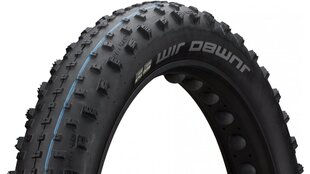 Велосипедная покрышка 26 " Schwalbe Jumbo Jim HS 466, Addix SpeedGrip цена и информация | Покрышки, шины для велосипеда | hansapost.ee