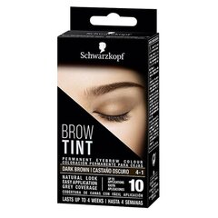 Kauapüsiv kulmuvärv Schwarzkopf Tint Dark Brown price and information | Eyebrow pencils, powders and colors | hansapost.ee