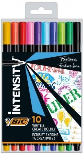 Viltpliiatsite komplekt FineLiners Intensity Fine 0,4 mm, 10 värvi CEL1011727 hind ja info | Kirjutusvahendid | hansapost.ee