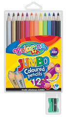 Värvilised pliiatsid COLORINO teritajaga, ümarad, 12 värvi hind ja info | Kunstitarbed, voolimise tarvikud | hansapost.ee