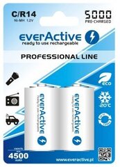 Батарейки everActive C "Ready to Use" цена и информация | Батерейки | hansapost.ee