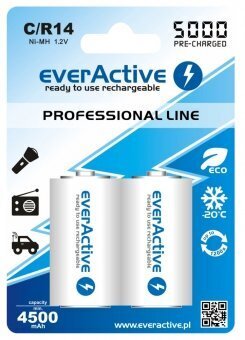 everActive HR14 C "Ready to Use" patareid цена и информация | Patareid | hansapost.ee