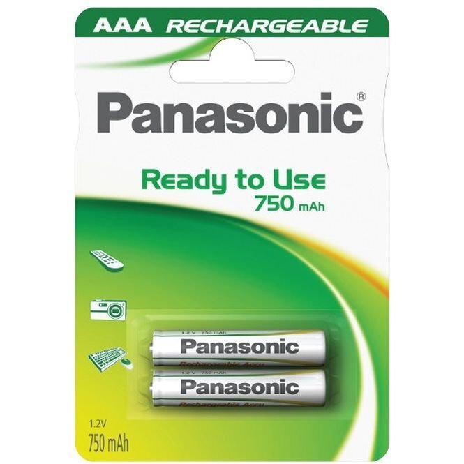 Panasonic aku Evolta AAA 750mAh P-03E/2B цена и информация | Patareid | hansapost.ee