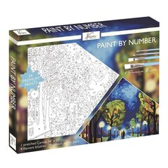 Numbrite järgi maalimise komplekt Nassau, Midnight walk, 40x50 cm hind ja info | Maalimiskomplektid numbrite järgi | hansapost.ee