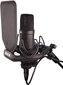 Rode helisalvestuskomplekt Complete Studio Kit NT1 & AI-1 цена и информация | Mikrofonid | hansapost.ee