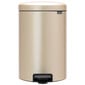 Brabantia NewIcon prügikast 20L, Champagne hind ja info | Prügikastid | hansapost.ee