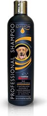 Šampoon labradori retriiveritele Certech Super Beno, 250 ml hind ja info | Hooldus/grooming | hansapost.ee