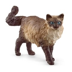 SCHLEICH FARM WORLD Ragdoll kass hind ja info | Mänguasjad tüdrukutele | hansapost.ee