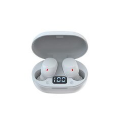 Devia Bluetooth earphones TWS Joy A6 white цена и информация | Наушники | hansapost.ee