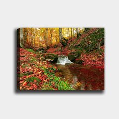 Репродукция Водопад в лесу цена и информация | Репродукции, картины | hansapost.ee