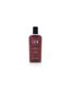 Juuksepalsam American Crew Classic (Daily Conditioner) for Men (Daily Conditioner), 250 ml цена и информация | Palsamid | hansapost.ee