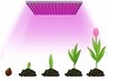 Led lamp taimede kasvatamiseks, 45 W 225D цена и информация | Nutipotid ja taimelambid | hansapost.ee
