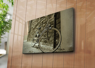 Репродукция Велосипед цена и информация | Репродукции, картины | hansapost.ee