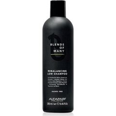 Kõõmavastane šampoon meestele, rasustele juustele - Alfaparf Milano Blends Of Many Rebalancing Low Shampoo, 250 ml hind ja info | Šampoonid | hansapost.ee