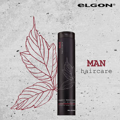 Тонизирующий шампунь для волос для мужчин Elgon Man Day Up 250 мл цена и информация | Elgon Духи, косметика | hansapost.ee