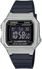 Мужские часы Casio MW-240-1EVEF цена и информация | Мужские часы | hansapost.ee