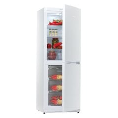 Snaigė RF30SM-S0002F цена и информация | Холодильники | hansapost.ee