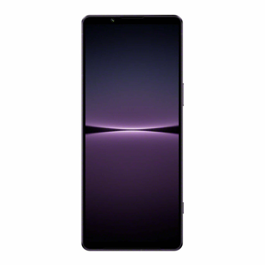 Sony Xperia 1 IV 12/256GB XQCT54C0V.EEAC Lavender цена и информация | Telefonid | hansapost.ee