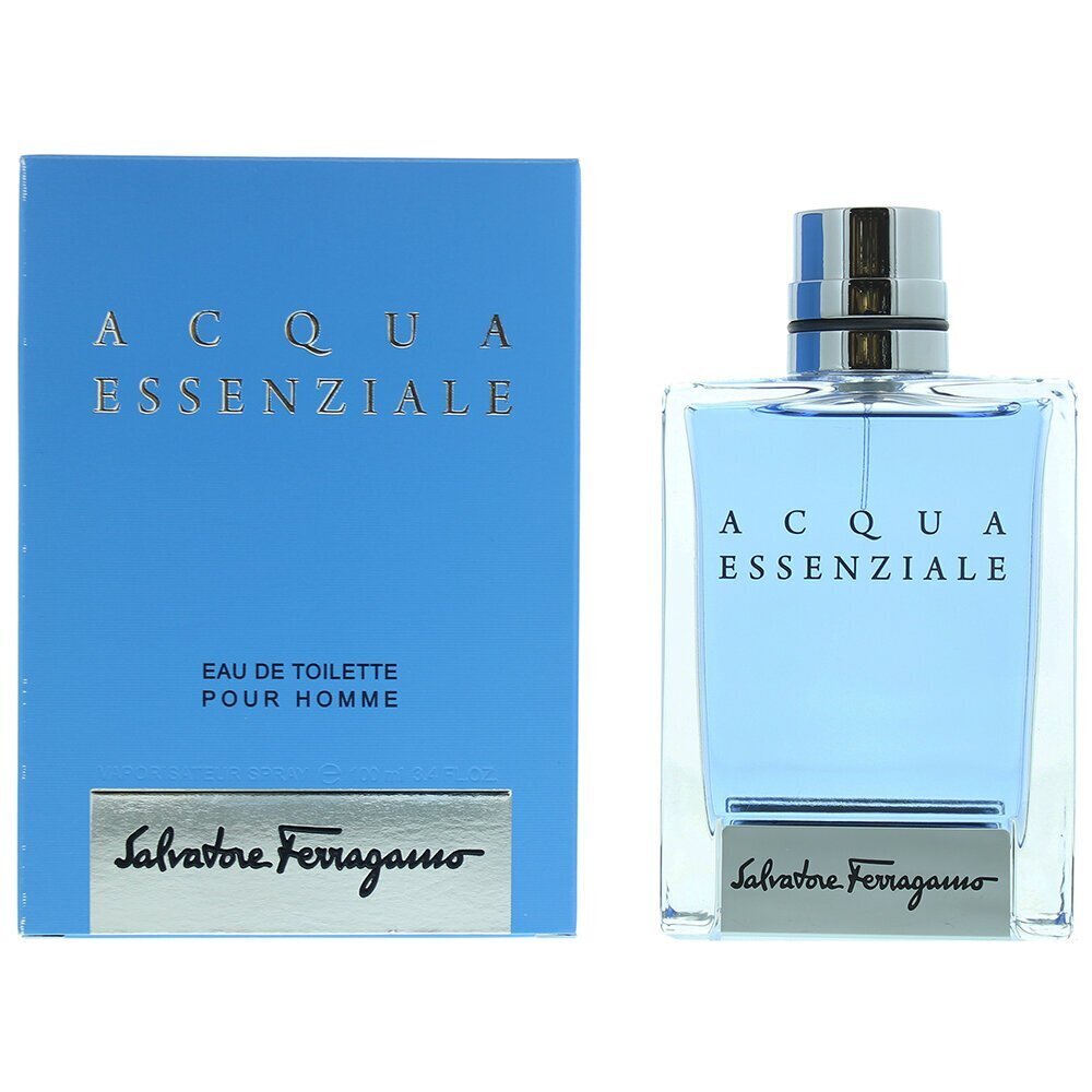 Meeste parfüüm Acqua Essenziale Homme Salvatore Ferragamo EDT: Maht - 100 ml цена и информация | Parfüümid meestele | hansapost.ee