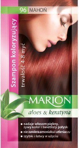 Juukseid tooniv šampoon Marion 96 40 ml цена и информация | Juuksevärvid | hansapost.ee