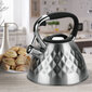 Veekeetja Maestro Enameled Kettle, 3,5 L цена и информация | Teekannud, kohvikannud, veekeedukannud | hansapost.ee