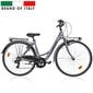 Esperia 28" 6500 46 6V TZ50, hall цена и информация | Jalgrattad | hansapost.ee