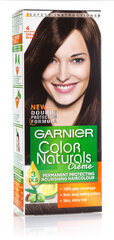 Kauapüsiv juuksevärv Garnier Color Naturals, Natural Brown цена и информация | Краска для волос | hansapost.ee