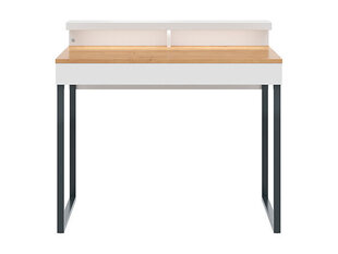 Письменный стол Darin, белый/коричневый цена и информация | Компьютерные, письменные столы | hansapost.ee