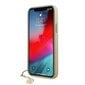 Ümbris Guess telefonile iPhone 12 Pro Max цена и информация | Telefonide kaitsekaaned ja -ümbrised | hansapost.ee