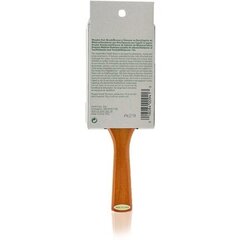 Juuksehari Aveda Paddle Brush Mini цена и информация | Расчески, щетки для волос, ножницы | hansapost.ee