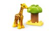 10971 LEGO® DUPLO Metsikud Aafrika loomad hind ja info | Klotsid ja konstruktorid | hansapost.ee