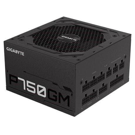 Gigabyte P750GM цена и информация | Toiteplokid | hansapost.ee