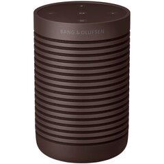 Bang & Olufsen Beosound Explore Chestnut 1626005 цена и информация | Аудиоколонки | hansapost.ee