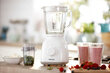 Blender Philips HR 2106/00 hind ja info | Blenderid | hansapost.ee