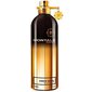 Parfüümvesi Montale Paris Amber Musk EDP naistele/meestele 100 ml price and information | Parfüümid naistele | hansapost.ee