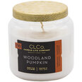 Lõhnaküünal kaanega Candle-Lite Woodland Pumpkin, 396 g