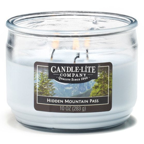 Lõhnaküünal Candle-lite Everyday Fresh Lavender Breeze цена и информация | Küünlad, küünlajalad | hansapost.ee