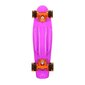 Rula Nils Extreme Pennyboard Crude Mexican hind ja info | Rulad | hansapost.ee