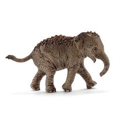 Schleich WILD LIFE Aasia elevandi poeg цена и информация | Игрушки для мальчиков | hansapost.ee