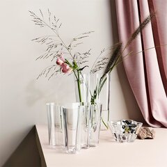 Iittala Aalto vaas 9.5 cm hind ja info | Iittala Mööbel ja sisustuskaubad | hansapost.ee