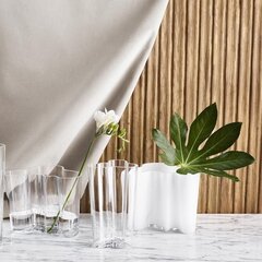 Iittala Aalto vaas 9.5 cm hind ja info | Iittala Mööbel ja sisustuskaubad | hansapost.ee