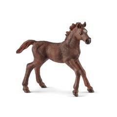 SCHLEICH HORSE CLUB Inglise Puhtatõuline, Varss цена и информация | Игрушки для мальчиков | hansapost.ee