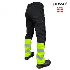 Softshell püksid Pesso MERCURY_G price and information | Workwear | hansapost.ee